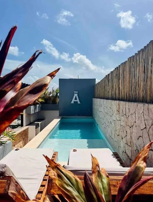 アパート Luxury Apartamento En Centro De トゥルム